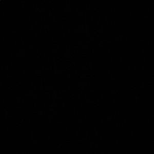 Meet your Posher, Sienna